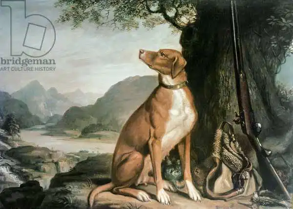 Sartorius, J. Francis: G. M. Johnston