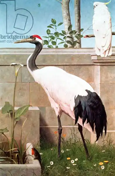 Marks, Henry Stacey: Manchurian Crane, Cockatoo and Robin