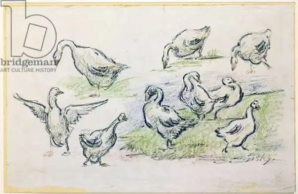 Sisley, Alfred: Ducks