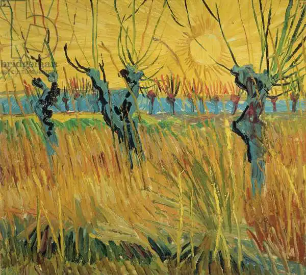 Gogh, Vincent van: Les saules à poteaux et le coucher du soleil