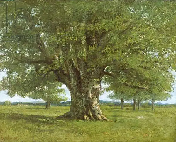 Courbet, Gustave: The Flagey Oak Tr...