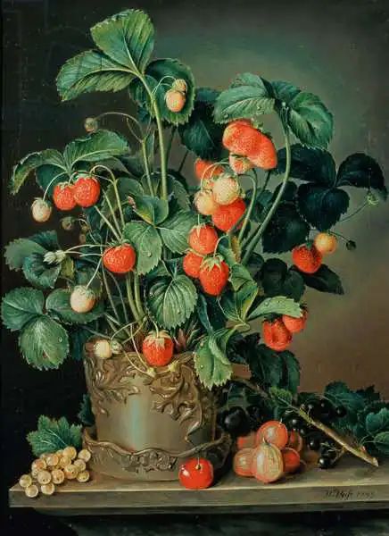 Weiss, W.: Nature morte avec les fraises