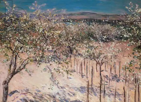 Caillebotte, Gustave: Verger avec des pommiers à fleurs, colombes