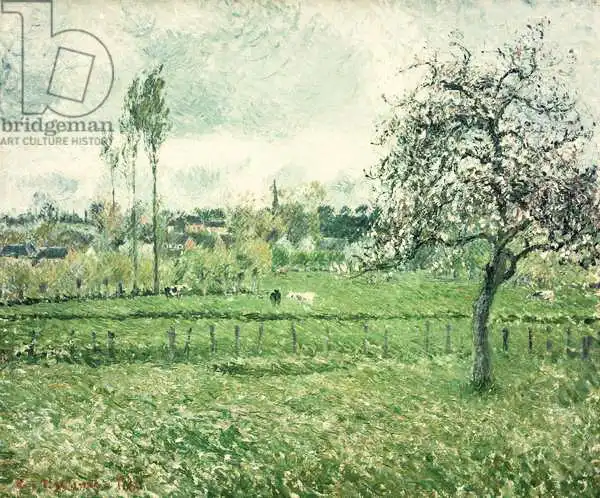 Pissarro, Camille: Meadow at Eragny