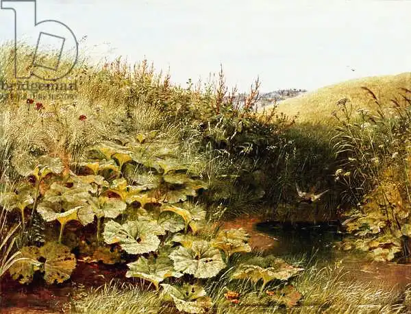 Collinson, Robert: A Quiet Dell