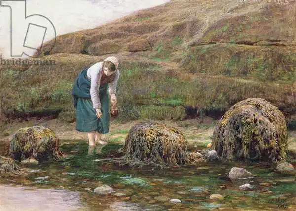 Watson, John Dawson: The Winkle Gatherer