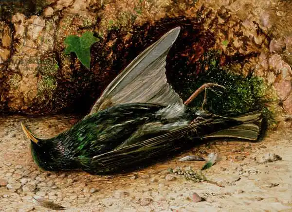 Grimshaw, John: Starling