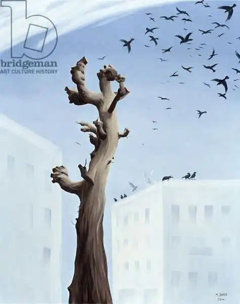Ban, Magdoln: Consternation, 2004