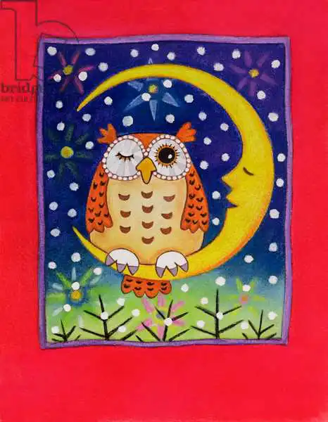 Baxter, Cathy: The Winking Owl
