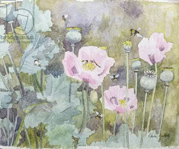Bullock, Rosalie: Pink poppies with bees
