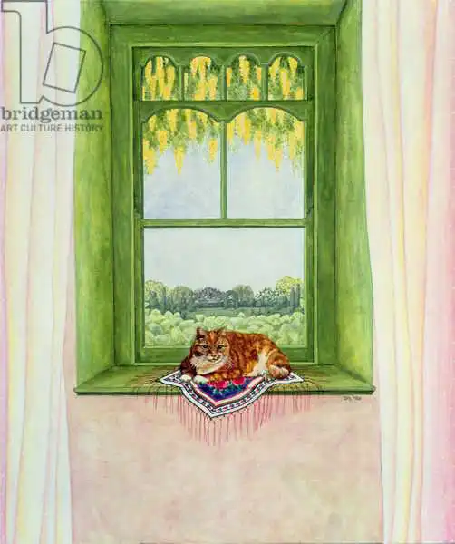 Ditz: Chat de laburn