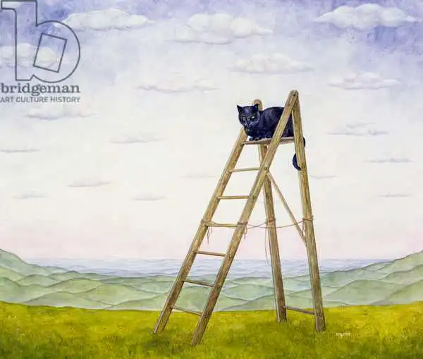 Ditz: Le chat d