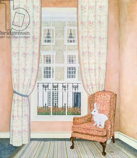 Ditz: Opposite Windows