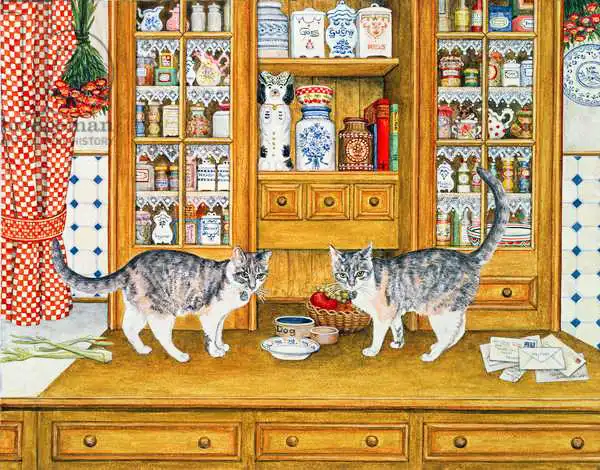 Ditz: Dresser Cats
