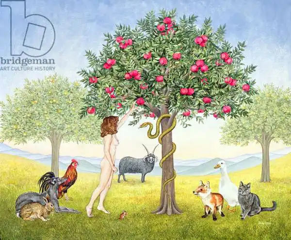 Ditz: Une pomme un jour. Triptyque la première partie