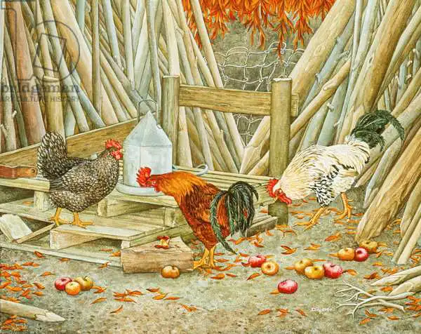 Ditz: Chicken Feed
