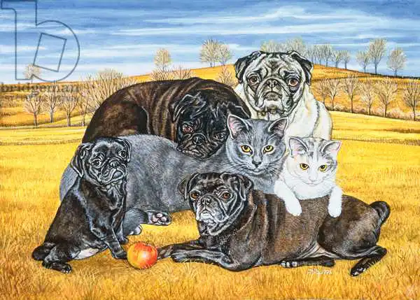 Ditz: Pug-Cattes du comté de Hocking