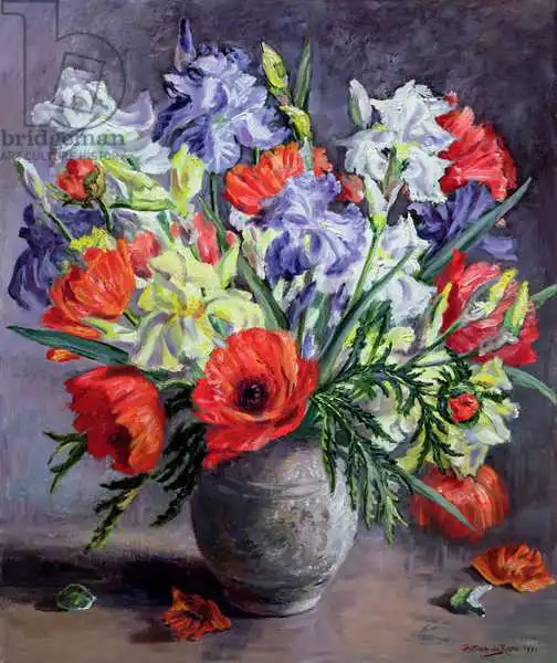 Durose, Anthea: Poppies and Irises