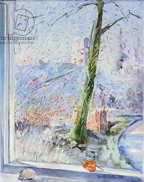 Easton, Timoth: Beech Tree and Haw Frost