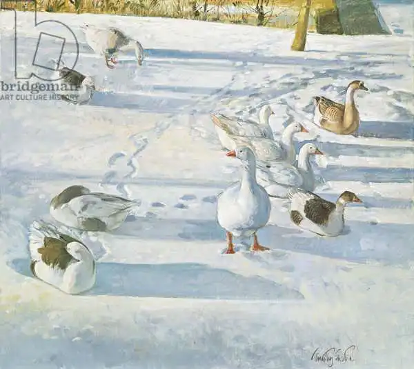 Easton, Timoth: Resting on the Slope