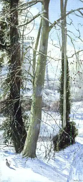 Easton, Timoth: Three Trees in Winter