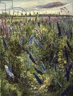 Easton, Timoth: Delphiniums et soleil émergent