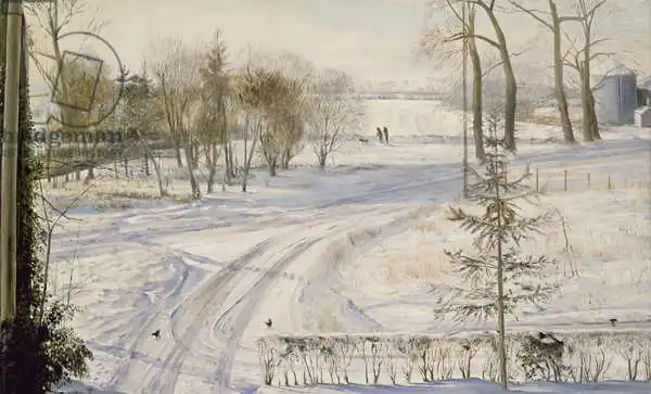 Easton, Timoth: Moorhens Searching