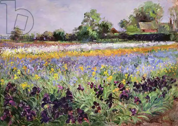 Easton, Timoth: Iris Field and Two Cottages