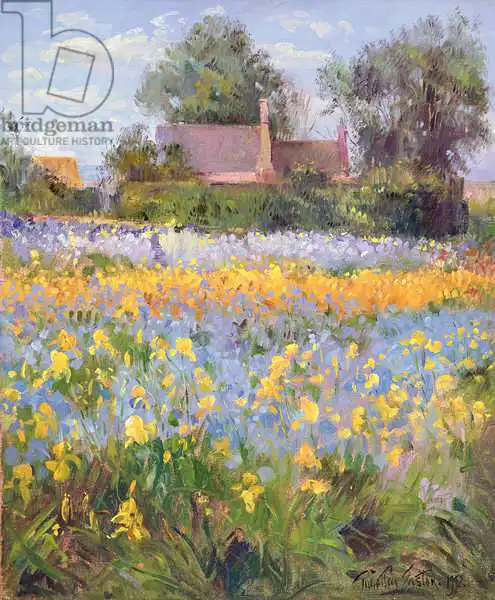 Easton, Timoth: Enclosed Cottages in the Iris Field