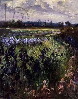 Easton, Timoth: Über großes Grün, Burgate