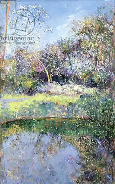 Easton, Timoth: Apple Tree and Crescent Moon