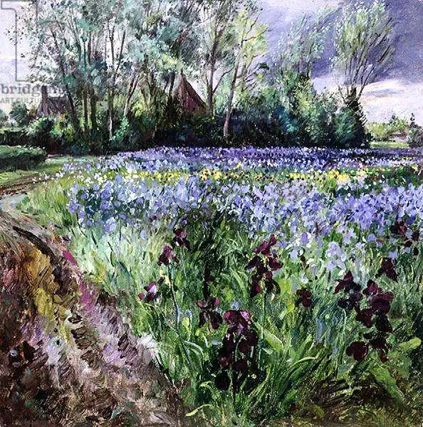 Easton, Timoth: Iris Field and Passing Storm Clouds