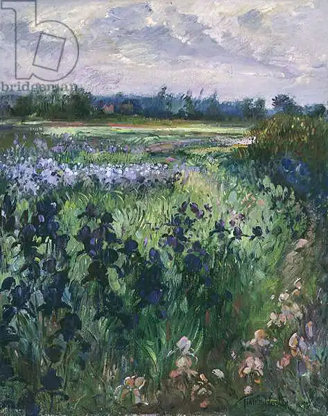 Easton, Timoth: Über großes Grün, Burgate