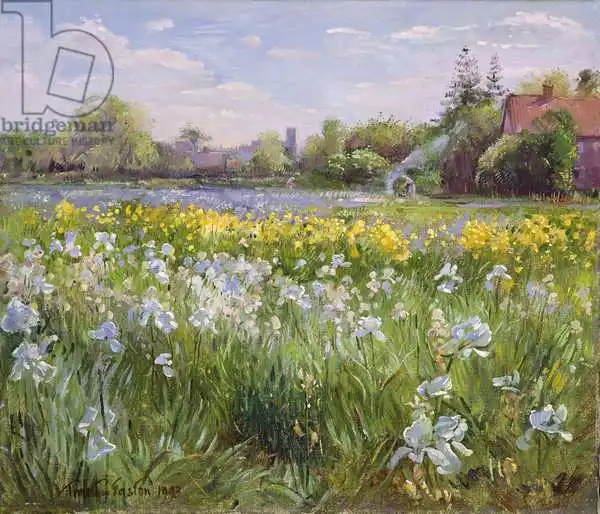 Easton, Timoth: Bonfire and Iris Field