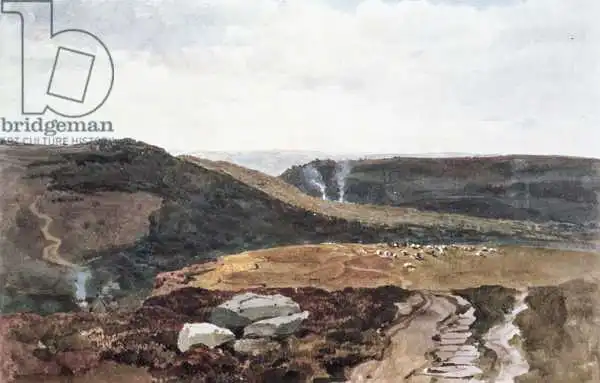 Wint, Peter de: Yorkshire Fells