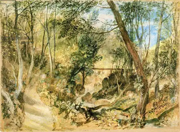 Turner, William: PD.50-1958 The Woodwalk, Farnley Hall