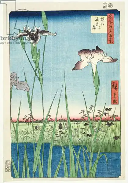 Hiroshige, Ando or Utagawa: BM.Cat.440 Iris en Horikin, nº 56 de la serie "100 vistas de Edo", (Meisho Edo hyakkei