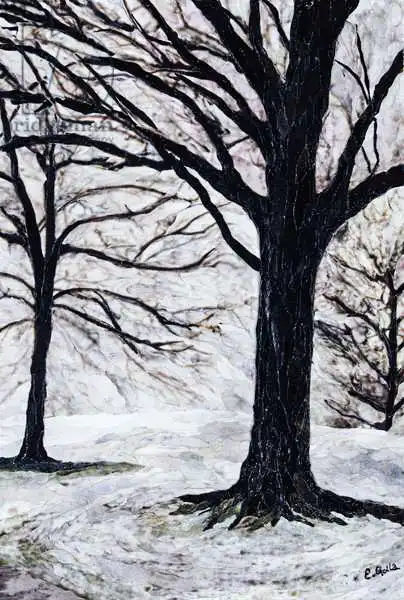 Golla, Elle: Winter Trees, Greenwich Park, 2004