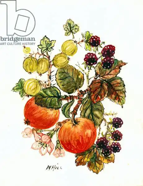 Hill, Nell: Brambles, Apples and Grapes
