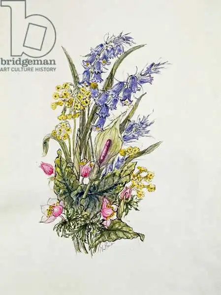 Hill, Nell: Bluebell posy with cowslips, dogroses and lily