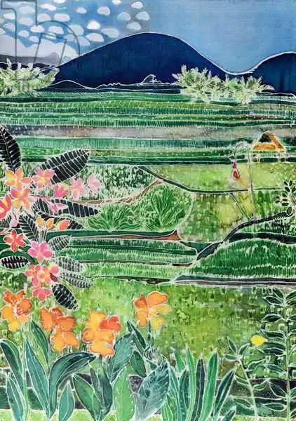 Simon, Hilar: Lovina Ricefields with Lilies and Frangipani, Bali