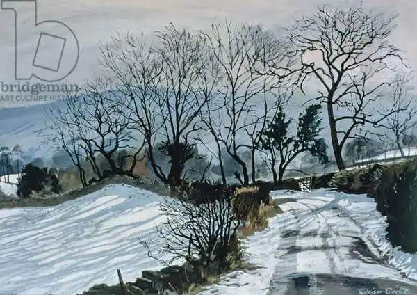 Cooke, John: Road to Deepdale