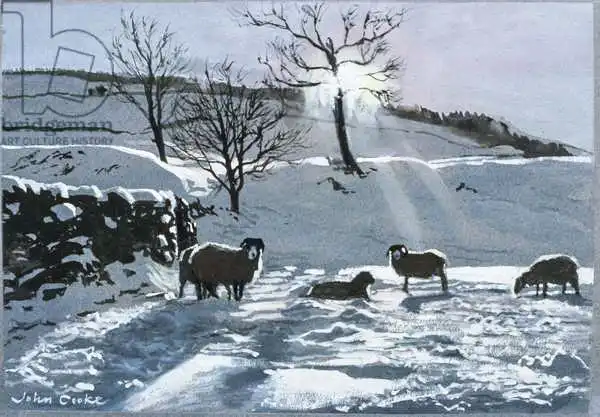 Cooke, John: Winter Afternoon at Dentdale
