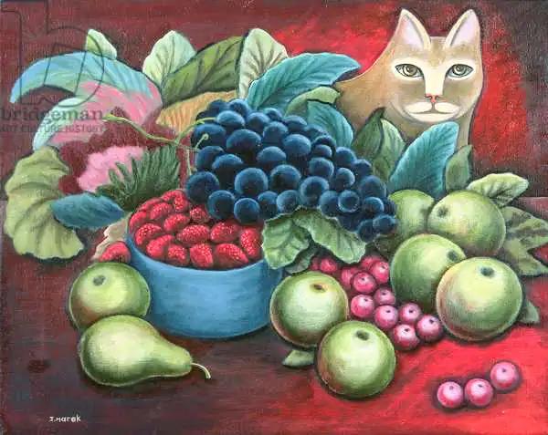 Marek, Jerzy: Cat and Fruit