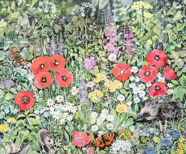 Jones, Hilary: Hedgehog amongst the Flowers