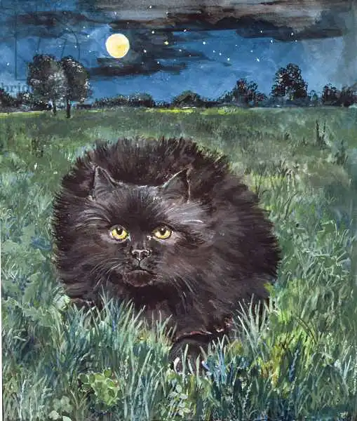Jones, Hilary: The Cat and the Moon