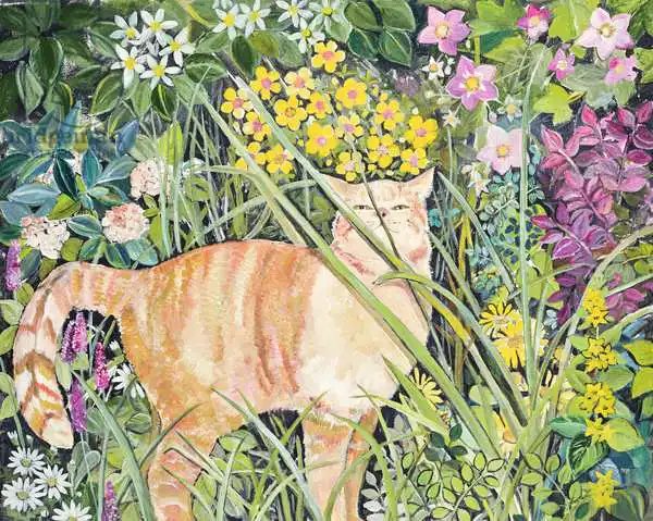 Jones, Hilary: Cat and Long Grass