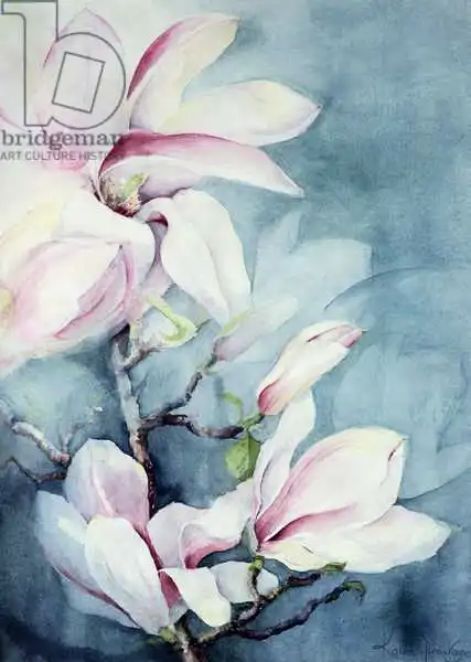 Armitage, Karen: Magnolia Soulangeana (vertical)