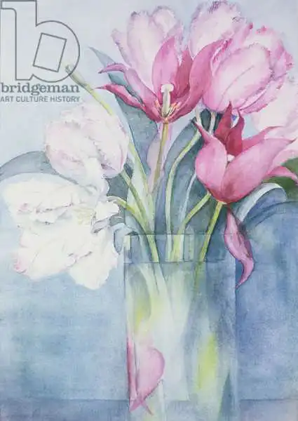 Armitage, Karen: Pink Parrot Tulips and Marlette