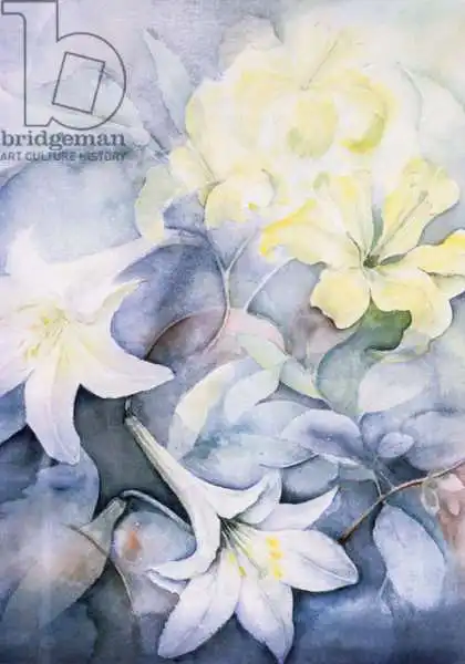 Armitage, Karen: Lilium, Hearts Desire and Imperiale
